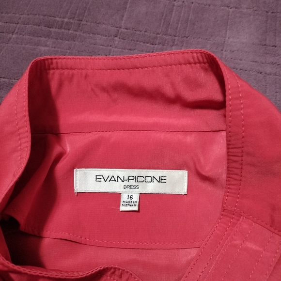 Evan-PiconeRust Red Short Sleeve Dress - Picture 2 of 3